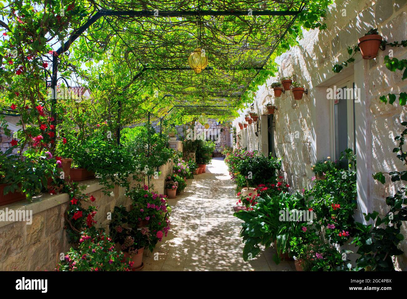 Eine schmale malerische überdachte Straße mit bunten Blumen in Hvar, Kroatien Stockfoto