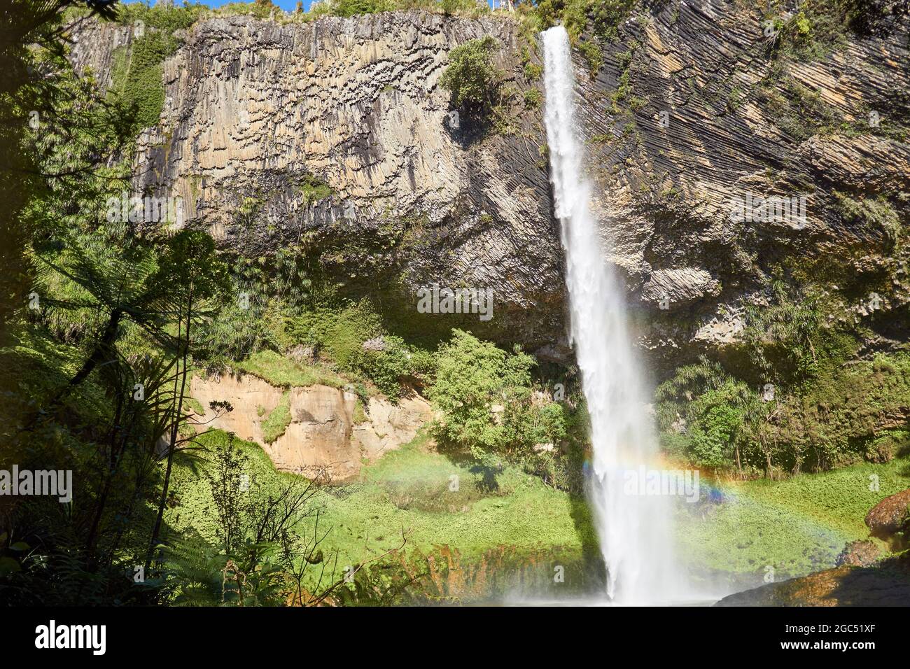Bridal Veil Falls in der Nähe von Raglan, Waikato, Neuseeland Stockfoto