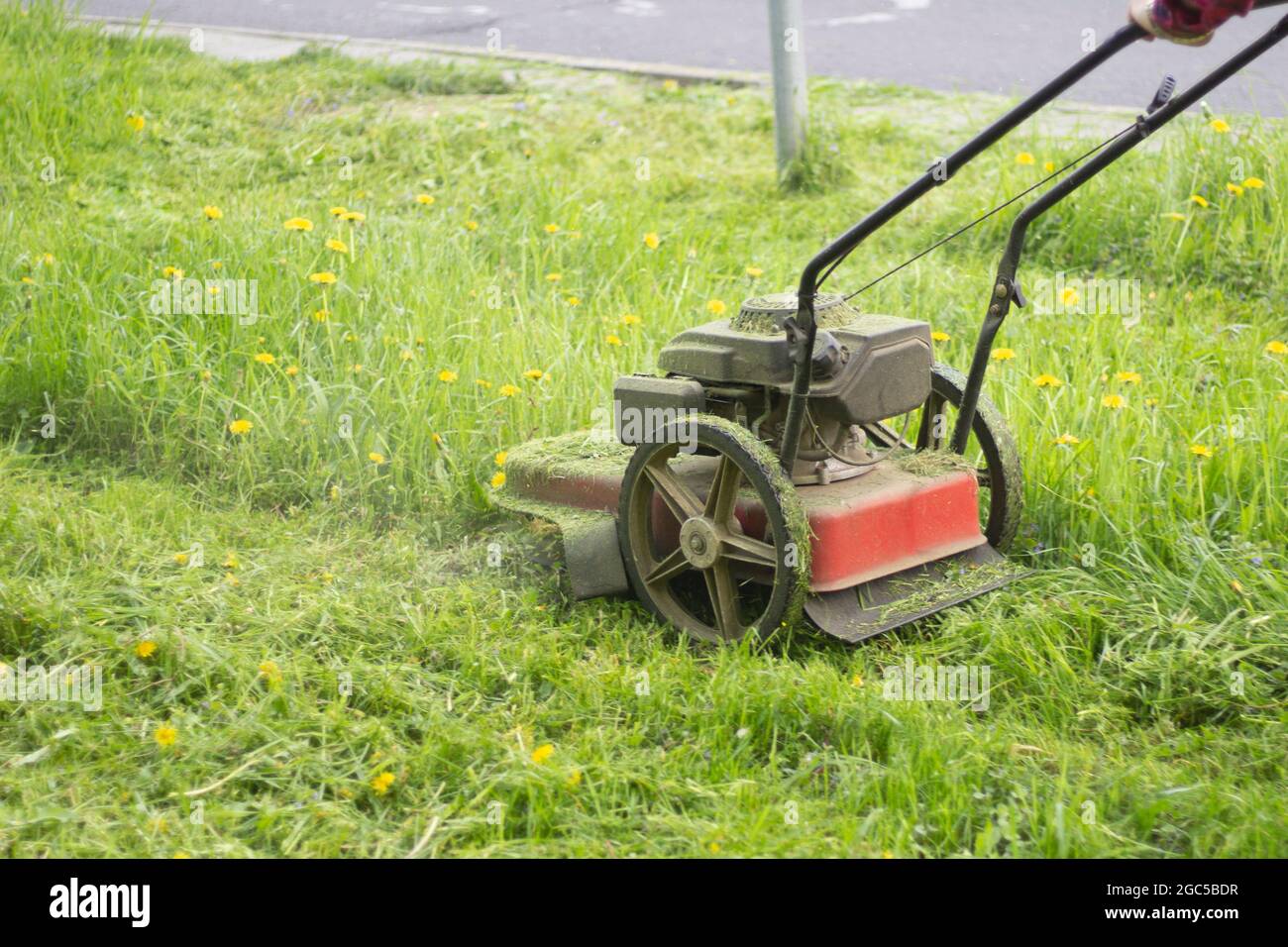 Rasenmähen. Der Gärtner mäht das Gras. Der Rasenmäher wird mit Benzin