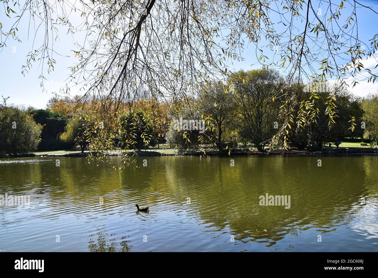 parque da cidade do porto