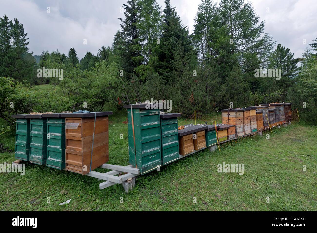 Bienenstöcke, Solda (Bz), Italien Stockfoto