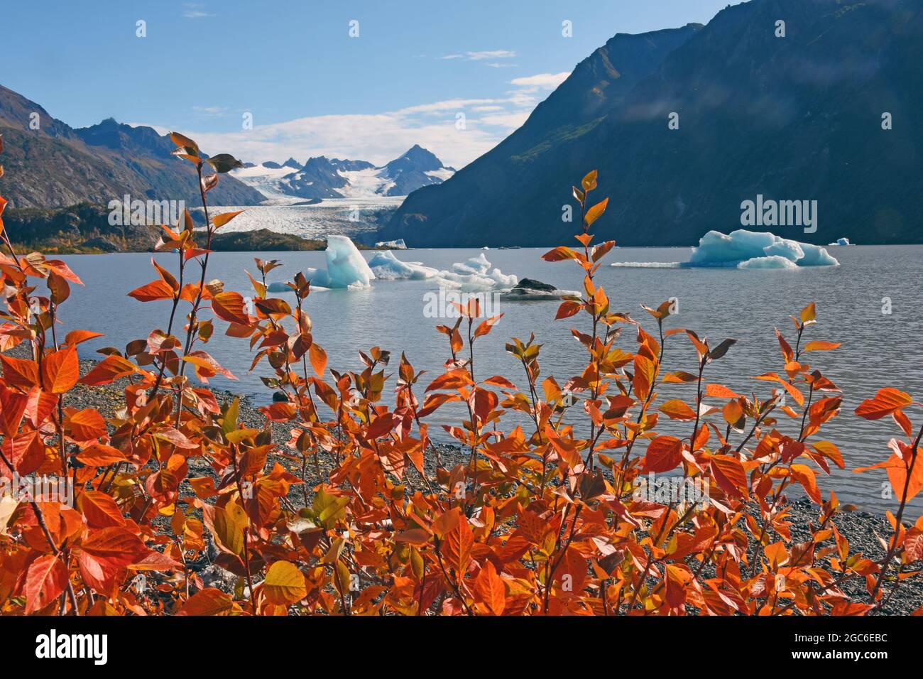 Gletschersee Kachemak Bay, Alaska Stockfoto
