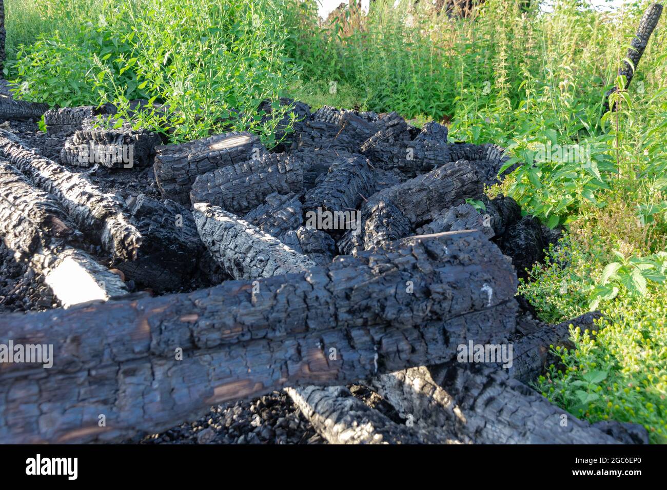 Teil eines abgebrannten Holzhauses vor einem Hintergrund von grünem Gras an einem sonnigen Sommertag. Selektiver Fokus. Nahaufnahme Stockfoto