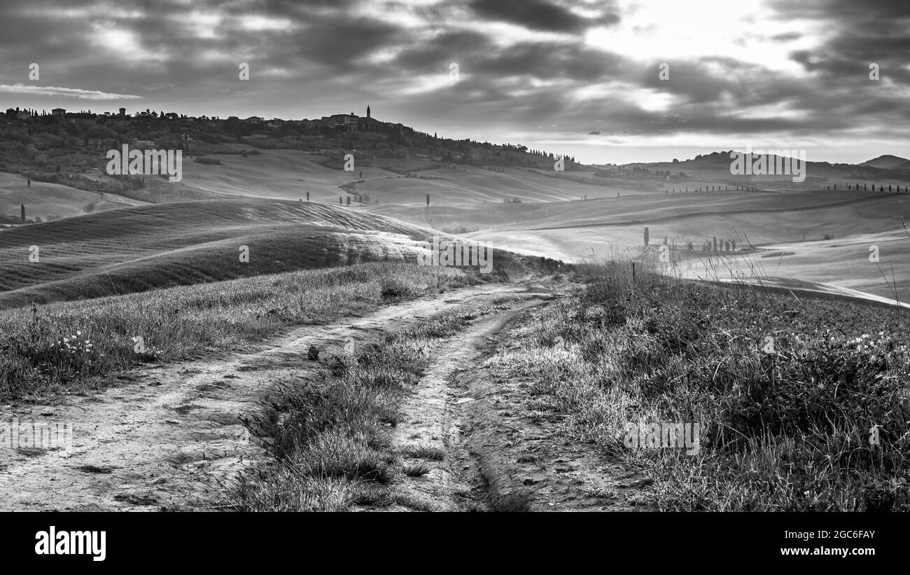 Dirt Track in ruhiger Landschaft mit Baumgruppen in den sanften Hügeln des Val d'Orcia Tuscany, Italien, April. Stockfoto