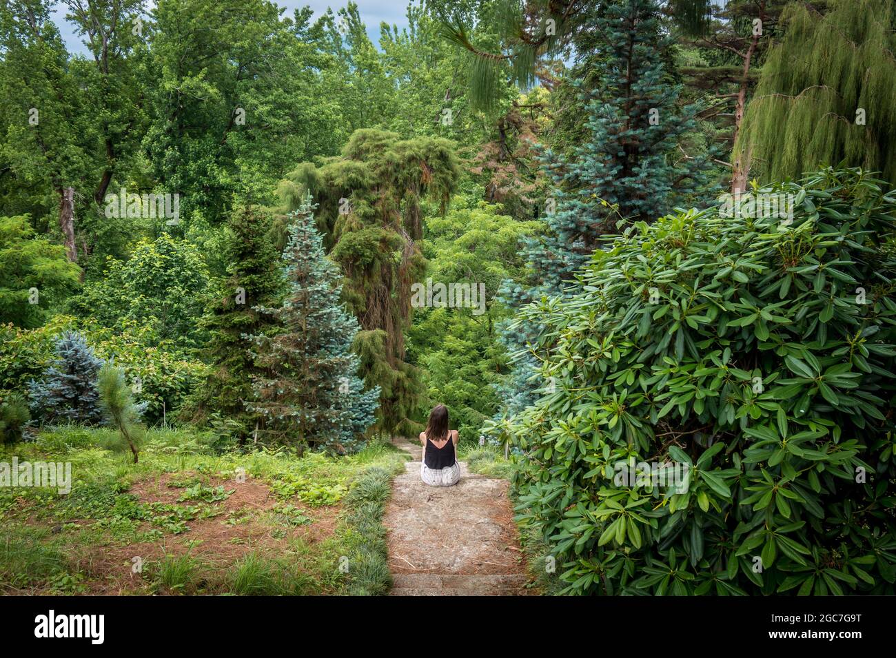 Junge Frau sitzt mit Blick auf schönen grünen Wald, Park im Sommer. Umweltschutzkonzept. Batumi Botanical Garden, Georgia. Stockfoto