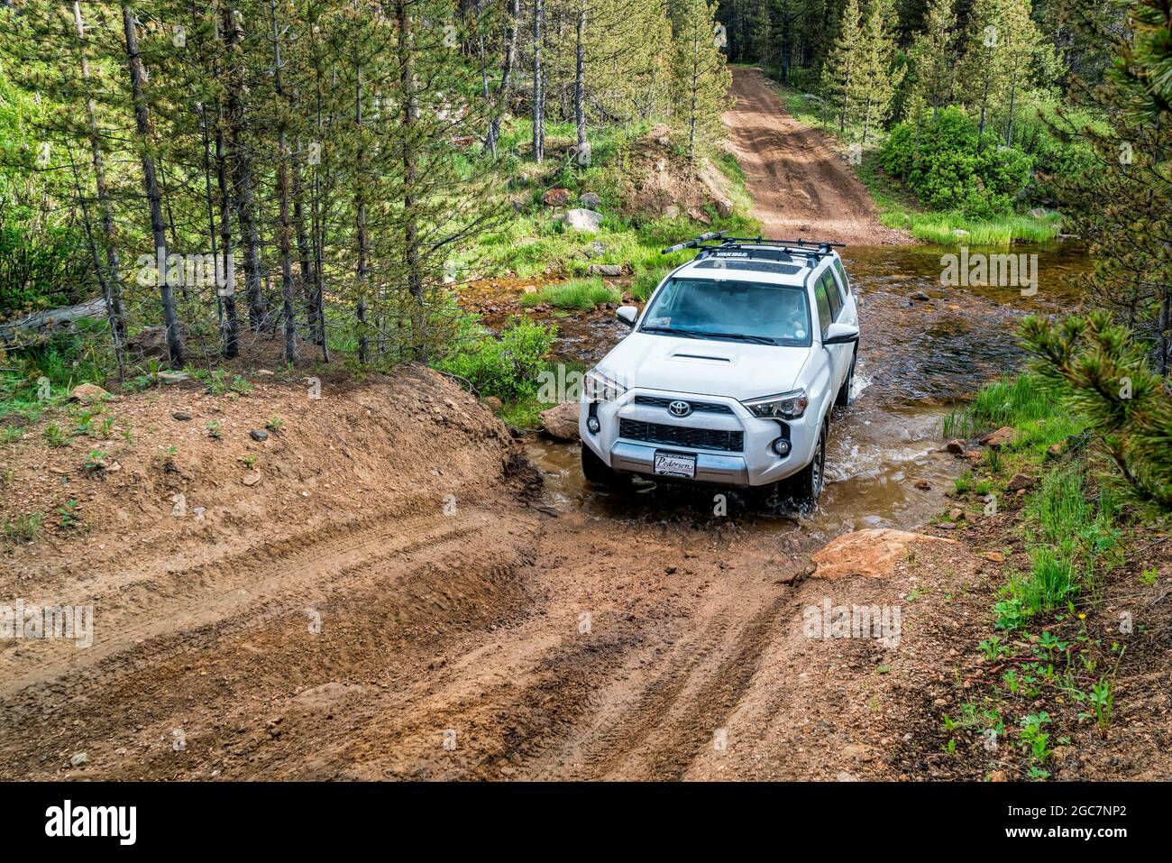 RED FEATHER SEEN, CO, USA - Juni 3, 2016: Toyota 4Runner SUV (2016 Trail edition) Kreuzung ein bergbach (Sand Creek Road) in Colorado Rocky Mo Stockfoto