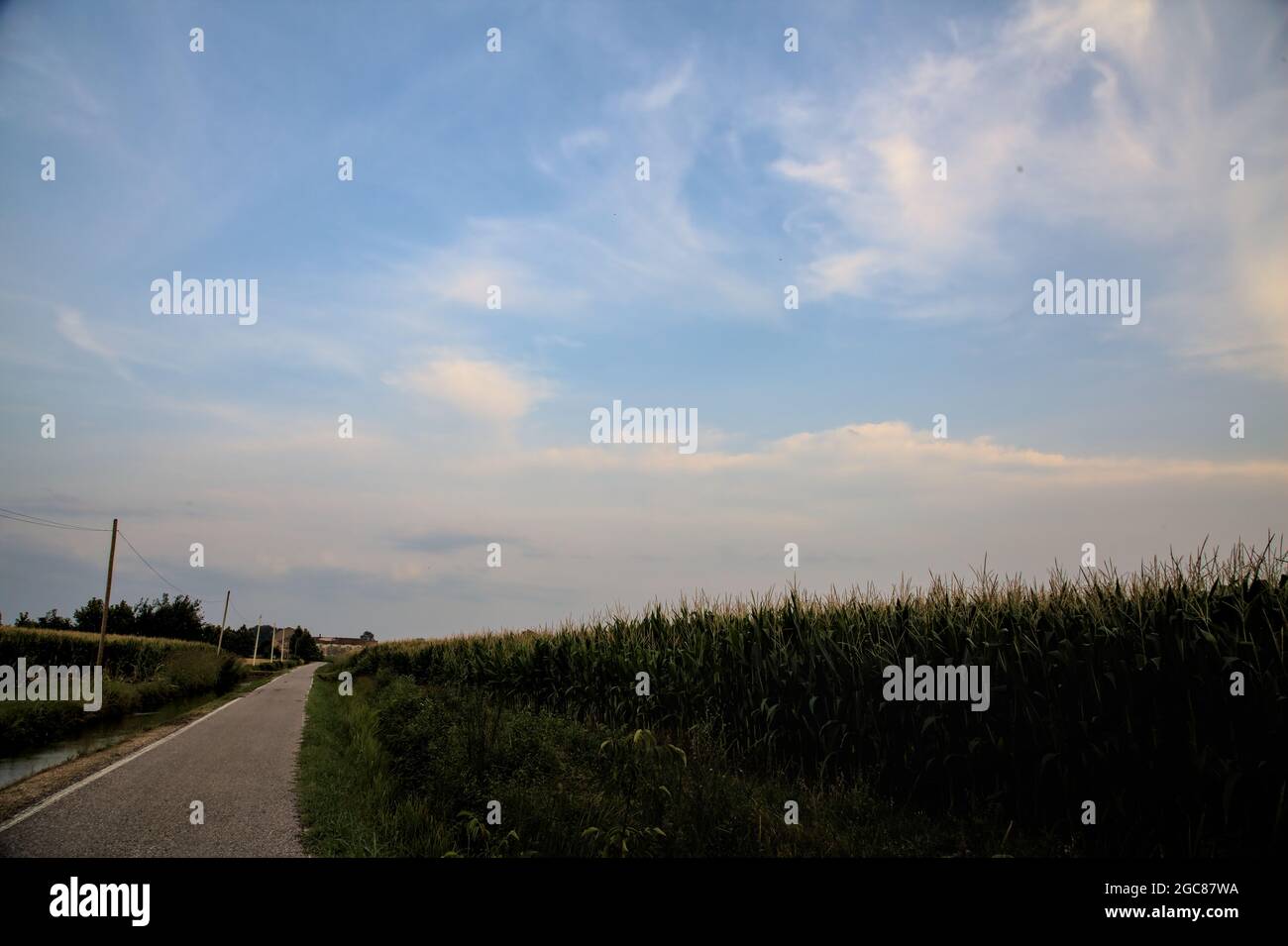 Schmale Landstraße neben Feldern in der italienischen Landschaft bei Sonnenaufgang Stockfoto
