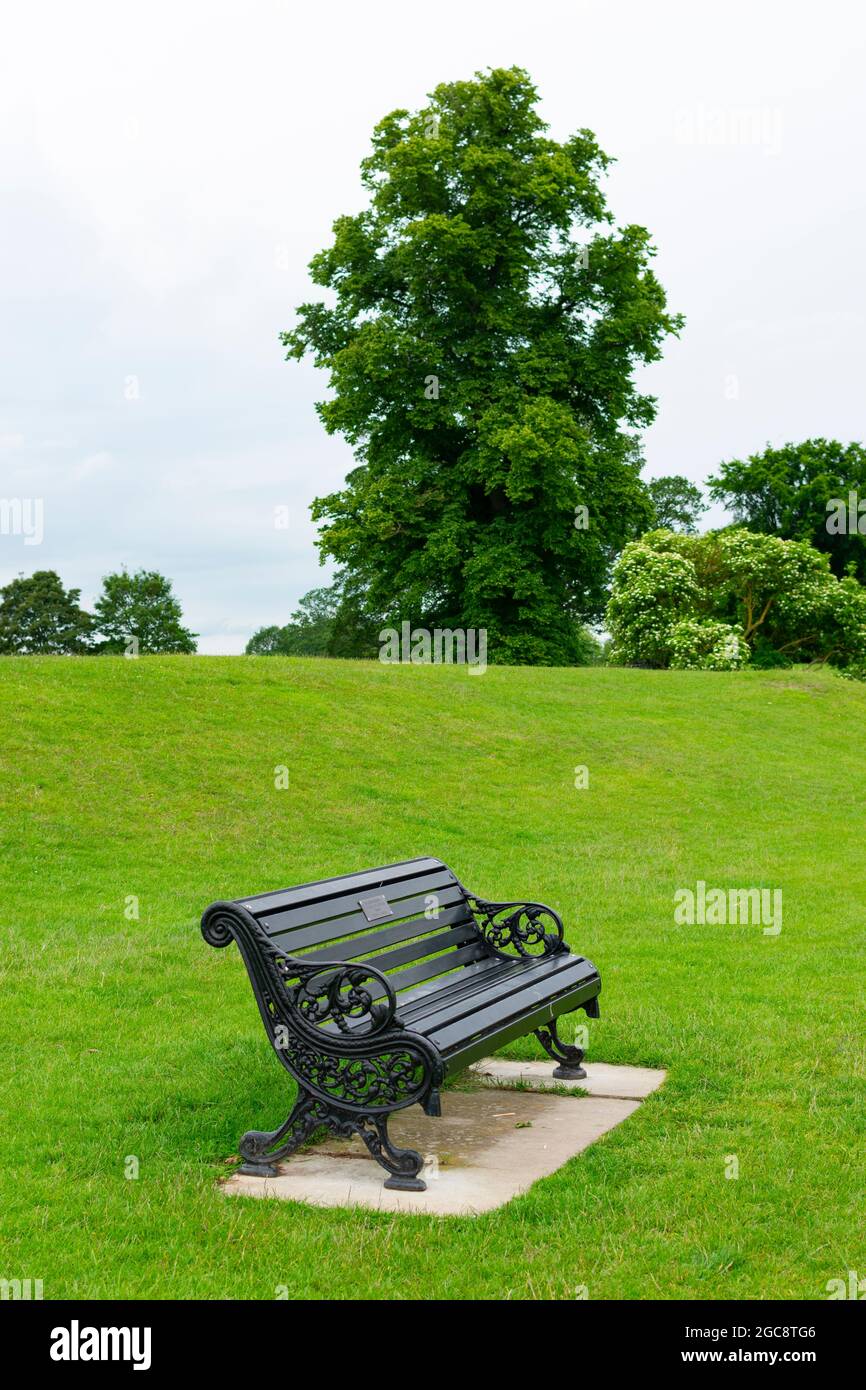 Eine Bank im park Stockfoto