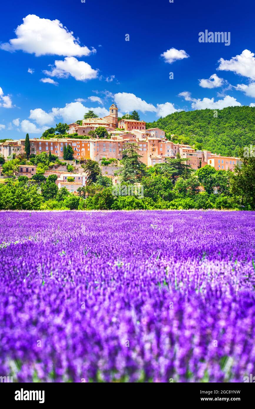 Banon, Provence - Bergdorf mit Lavendelfeldern in Frankreich, Reiseziel Alpes-de-Haute-Provence. Stockfoto