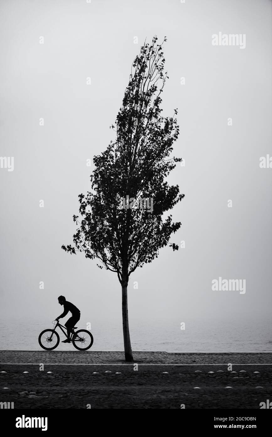 Junger Mann, der an einem nebligen Morgen Fahrrad fährt Stockfoto