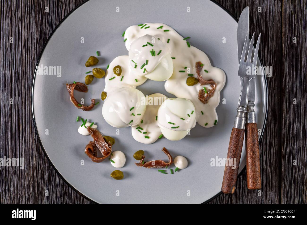 Oeuf-Mayonnaise, hart gekochte Eier, bedeckt mit einer Sauce aus Mayonnaise, garniert mit Schnittlauch, Kapern und Sardellenfilet, französischer Cuis Stockfoto