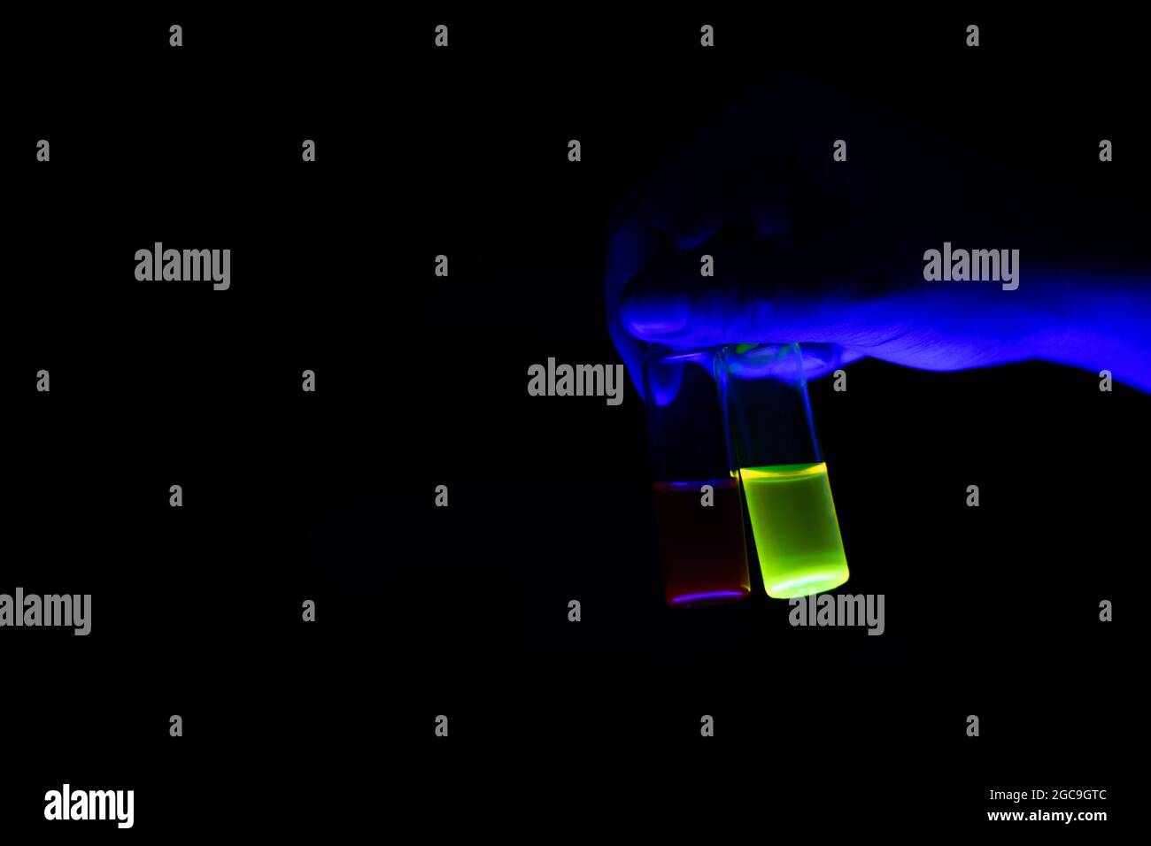 Eine Forscherin hält Glasfläschchen für organische Chemie in einem Labor - radioaktiv - Fluoreszenz. Ein Kopierraum mit schwarzem Hintergrund. Organisches Ich Stockfoto