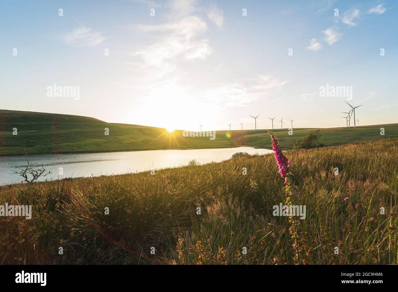 Windpark und ein See bei Sonnenuntergang. Natürliche saubere Energie, Umweltschutzkonzept. Oberes Lliw-Reservoir aus Brynllefrith Plantation, Wales, Vereinigtes Königreich. Nutzung von Windkraft in Großbritannien Stockfoto