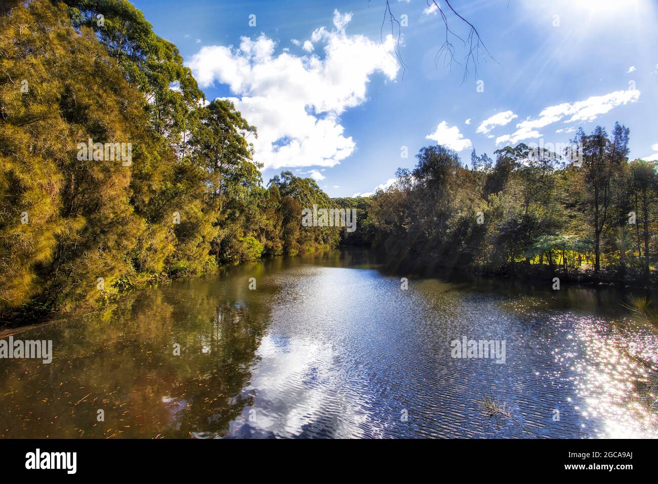 Fließende Gewässer des Lane Cove Flusses im städtischen Nationalpark von Sydney City, Australien - malerische Landschaft. Stockfoto