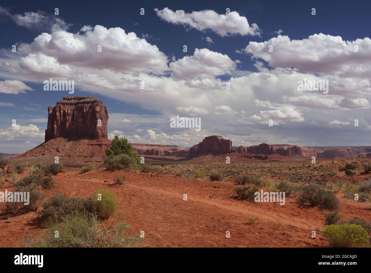 Roter Sandstein Merrick Butte und Klippen im Monument Valley Navajo Tribal Park mit Ökosystempflanzen im Vordergrund Stockfoto