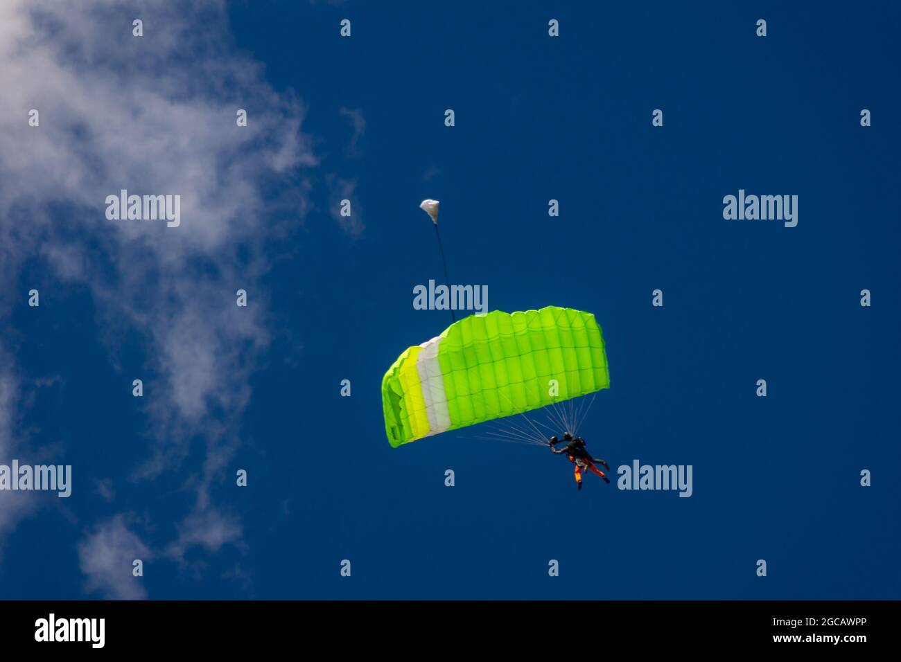 Tandem Fallschirmsprung, Anfänger mit einem Instruktor schweben unter einem grünen Baldachin Stockfoto
