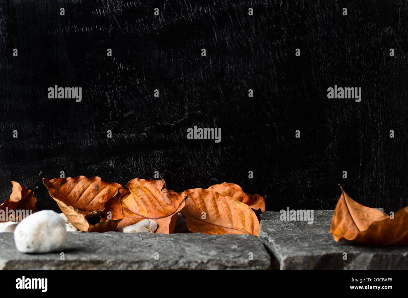 Herbstbraun Blätter auf den Steinen auf dem Hintergrund von schwarzem Holz. Ein Leerzeichen für die Präsentation. Selektiver Fokus. Stockfoto
