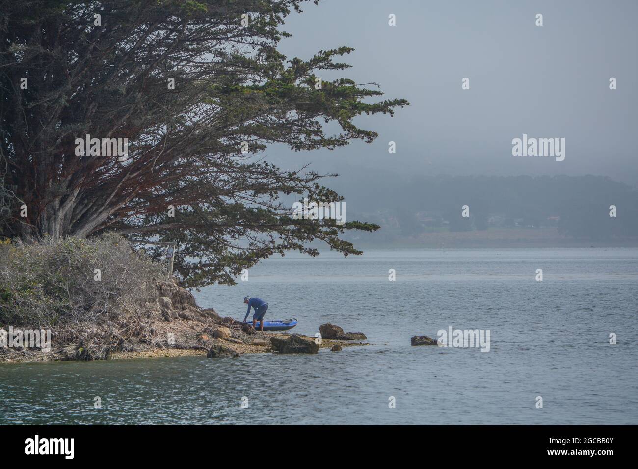 Morro Bay State Park am Pazifik in Morro Bay, Kalifornien Stockfoto