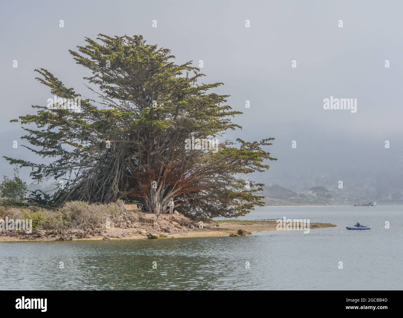 Morro Bay State Park am Pazifik in Morro Bay, Kalifornien Stockfoto