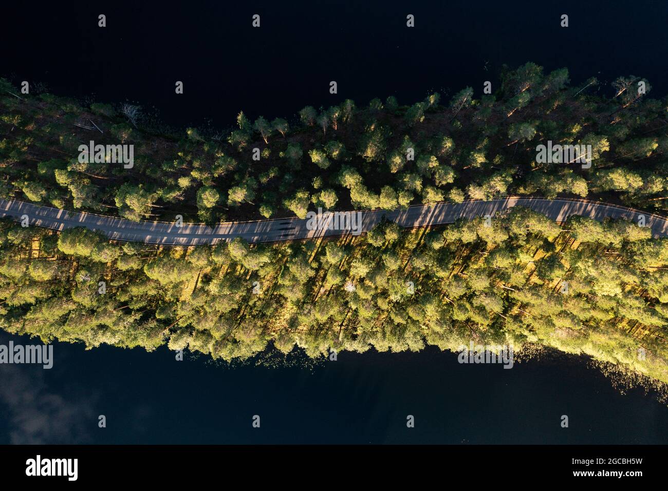 Draufsicht auf die kurvenreiche Punkaharju-Bergkammstraße in der Saimaa-Region in Ostfinnland Stockfoto