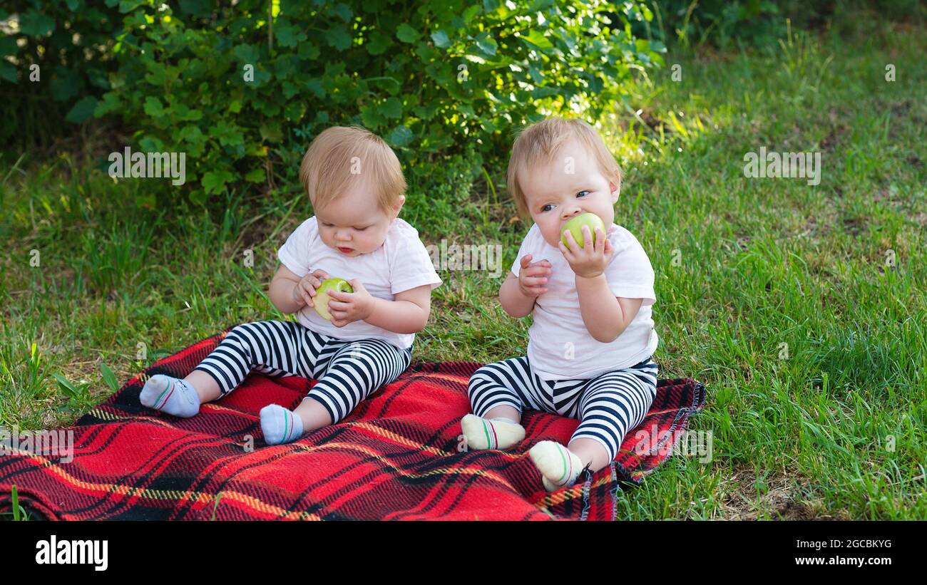 Porträt von zwei Kindern mit Äpfeln auf der Decke im Park. Stockfoto