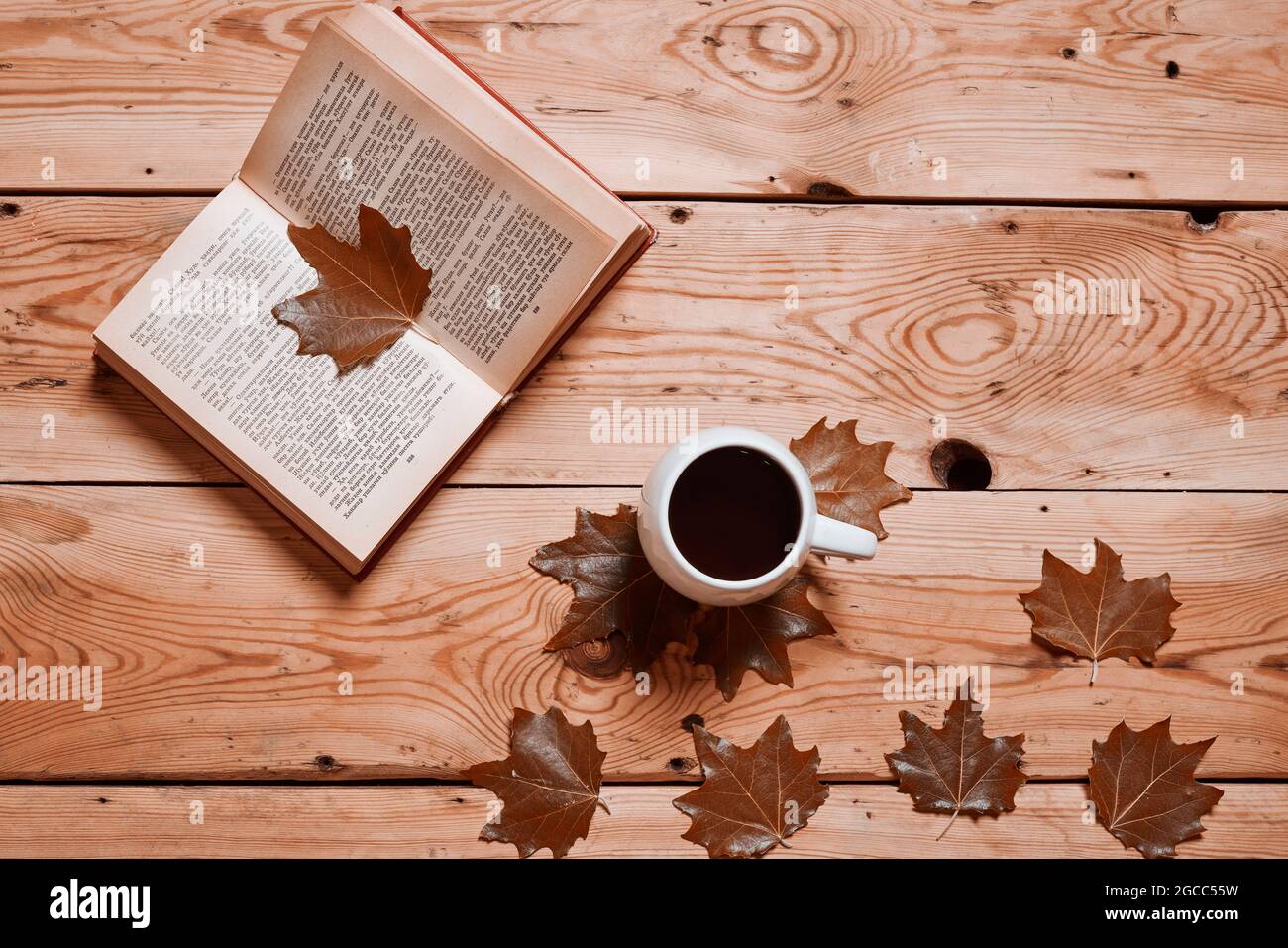 Lesen eines Buches an einem gemütlichen Herbsttag. Kalter Herbstmorgen mit  einer Tasse Kaffee und einem Buch. Herbstwochenende, Freizeit, geistiger  Urlaub, Entspannung zu Hause Stockfotografie - Alamy