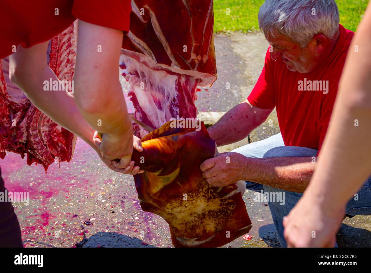 Aradac, Vojvodina, Serbien - 21. Mai 2016: Der Metzger verwendet scharfes Messer und schneidet das Vorderbein, rohen Schweineham, Hackfleisch auf kleinen Stücken, andere Stockfoto