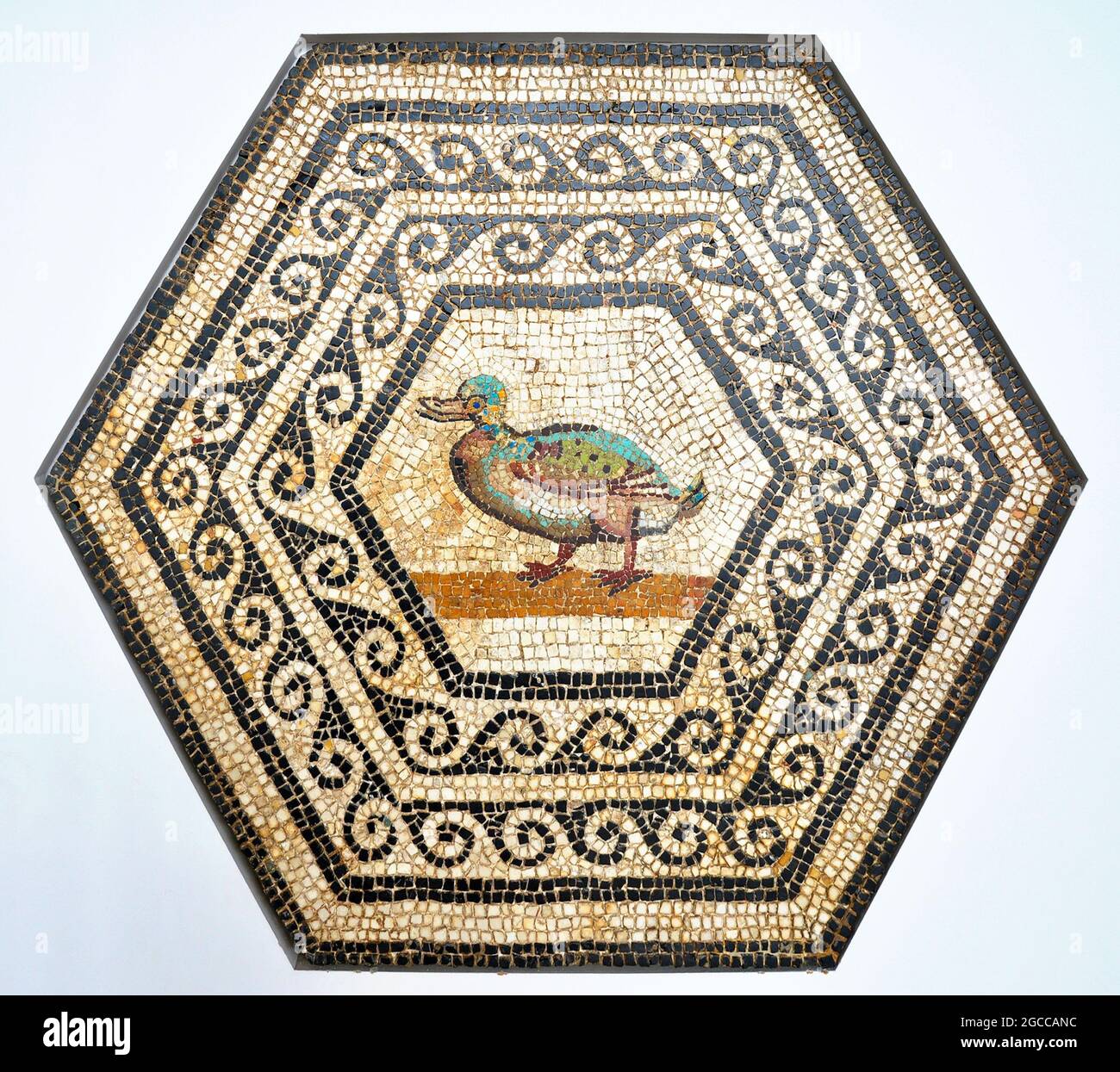 Mosaikkunst - Römisches Mosaik mit einer Ente, hergestellt aus Steinen und Glas, Ende des 2D. Jahrhunderts, in der Muse de Saint-Romain-en-Gal, Frankreich Stockfoto