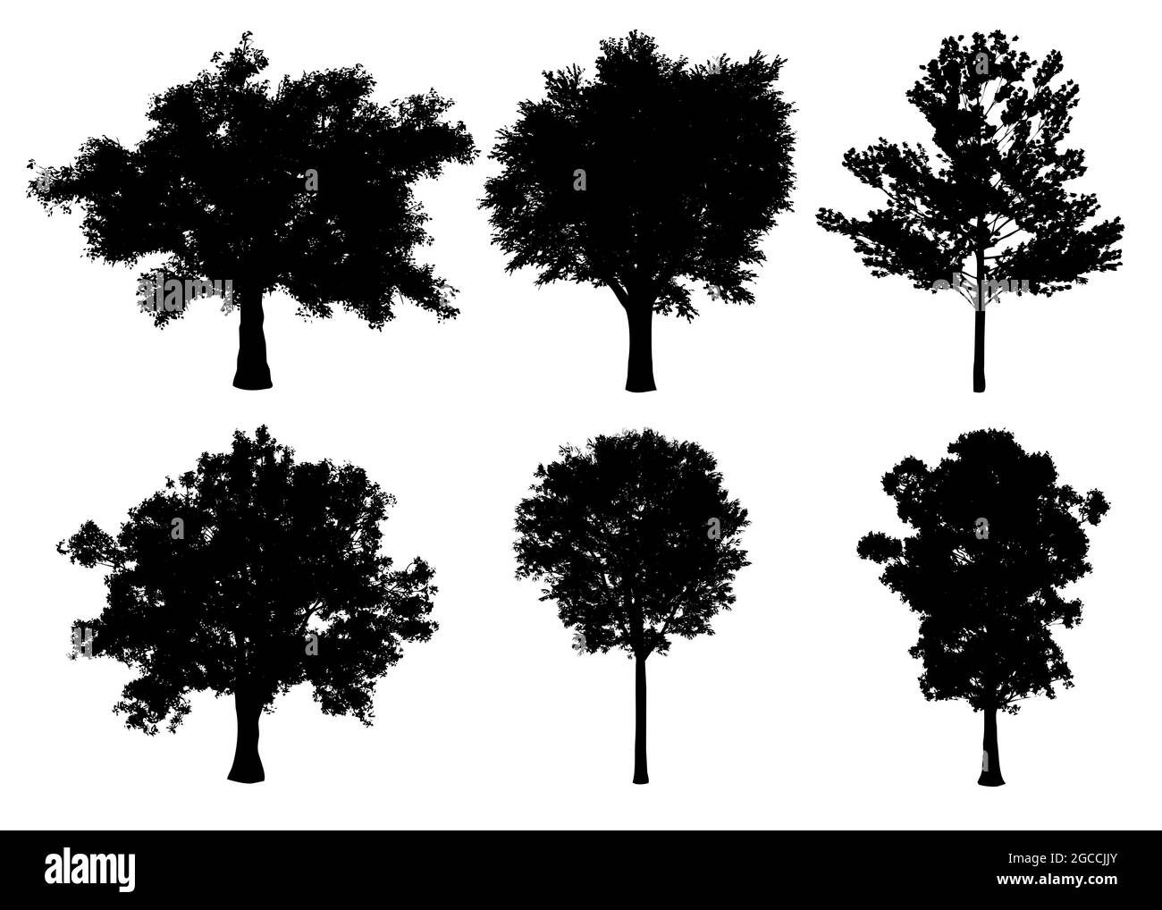 Schöne Sammlung Baum Silhouetten und Schneiden auf einem weißen Hintergrund mit Schneideweg. Stockfoto