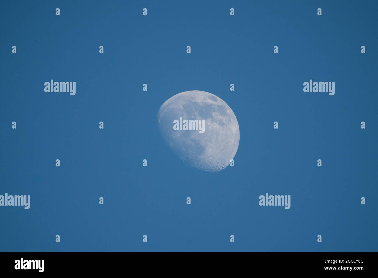 Abnehmender Gibbous Mond, sichtbar am klaren blauen Himmel am Tag Stockfoto