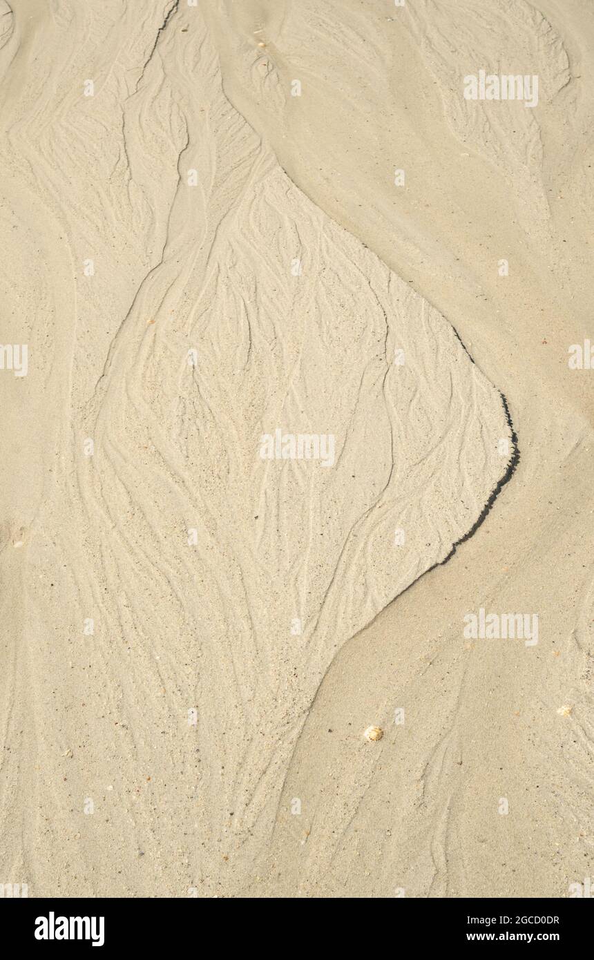 Natürliche Sandmuster und Wasserkanäle, die von den Gezeiten am schottischen Strand gemeißelt wurden Stockfoto