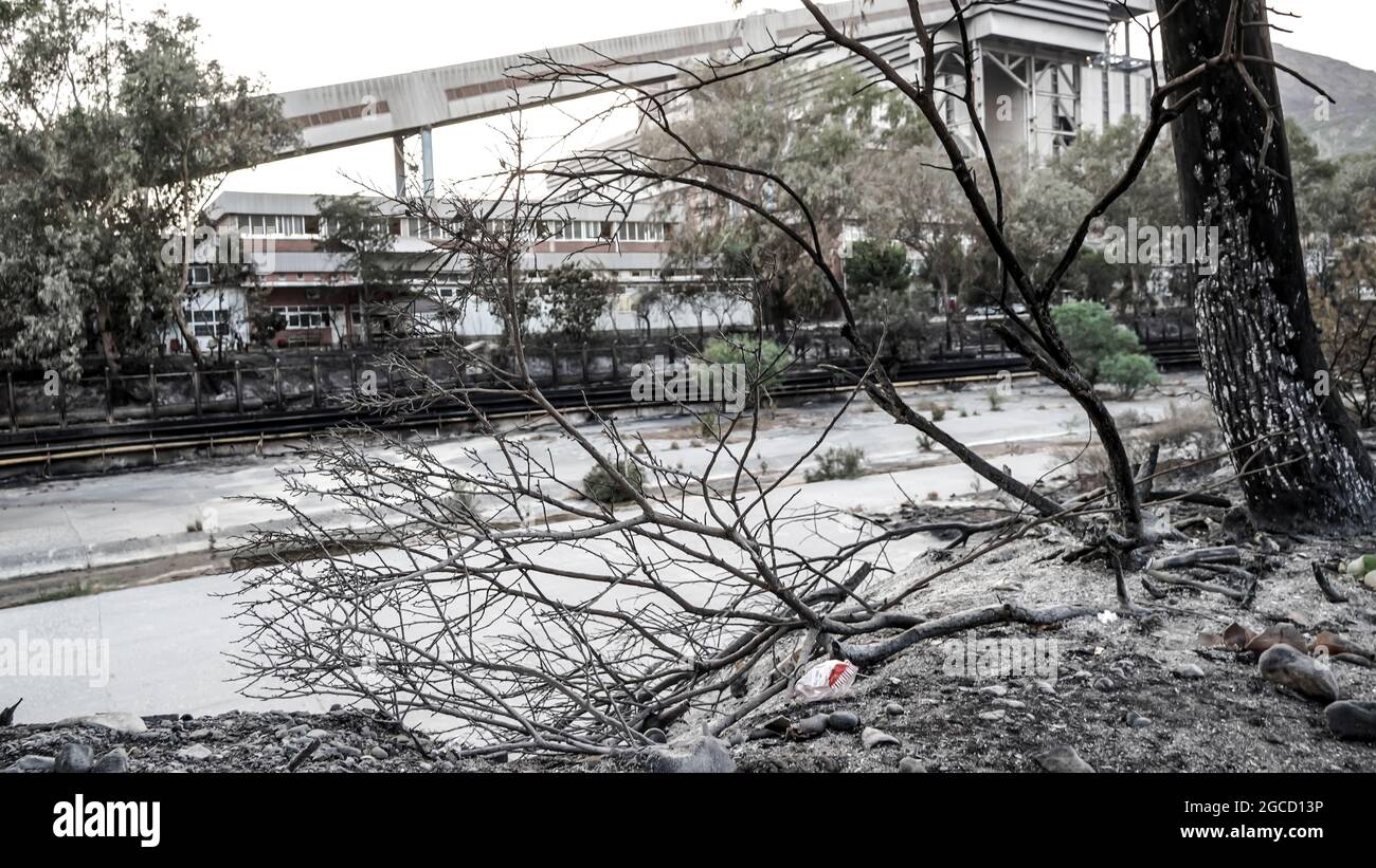 Nachdem das Kraftwerk Kemerkoy durch einen Waldbrand verbrannt wurde, erreichten Blasen auch das Wärmekraftwerk Yenikoy in Milas, in der südwestlichen Provinz Mugla der Türkei. Dieser Brand wurde früh von Feuerwehrmannschaften gelöscht. Feuerwehrmänner und städtische Teams in der ganzen Türkei haben in Feslegen, Bay?r und anderen Dörfern, die von massiven Waldbränden betroffen waren, weiterhin aus der Luft und dem Boden gelöscht. Waldarbeiter wurden Bäume geschnitten, um ein mögliches Waldbrand in der Zone des thermischen Kraftwerks in der Nähe der Straße zu verhindern. Einige Nichtregierungsorganisationen und Gemeinden haben Lebensmittel und Wat verteilt Stockfoto