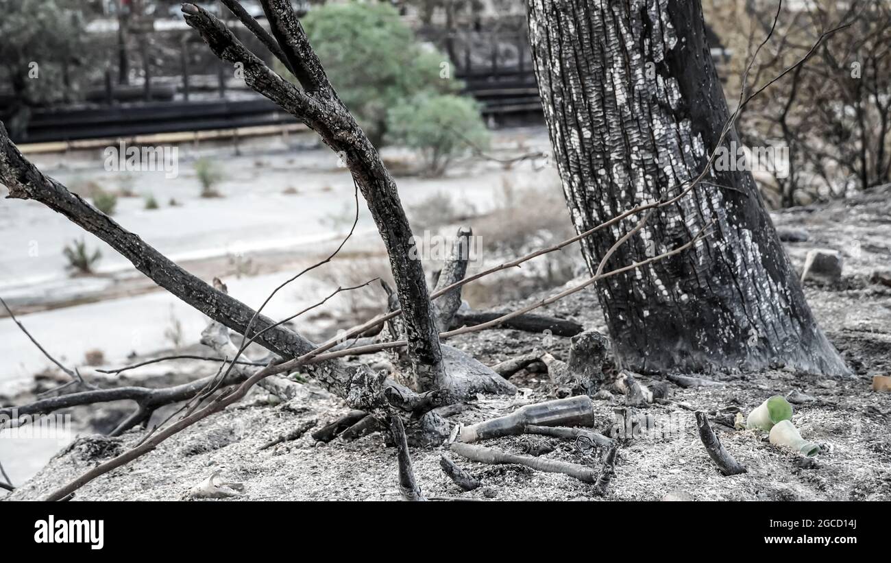 Nachdem das Kraftwerk Kemerkoy durch einen Waldbrand verbrannt wurde, erreichten Blasen auch das Wärmekraftwerk Yenikoy in Milas, in der südwestlichen Provinz Mugla der Türkei. Dieser Brand wurde früh von Feuerwehrmannschaften gelöscht. Feuerwehrmänner und städtische Teams in der ganzen Türkei haben in Feslegen, Bay?r und anderen Dörfern, die von massiven Waldbränden betroffen waren, weiterhin aus der Luft und dem Boden gelöscht. Waldarbeiter wurden Bäume geschnitten, um ein mögliches Waldbrand in der Zone des thermischen Kraftwerks in der Nähe der Straße zu verhindern. Einige Nichtregierungsorganisationen und Gemeinden haben Lebensmittel und Wat verteilt Stockfoto