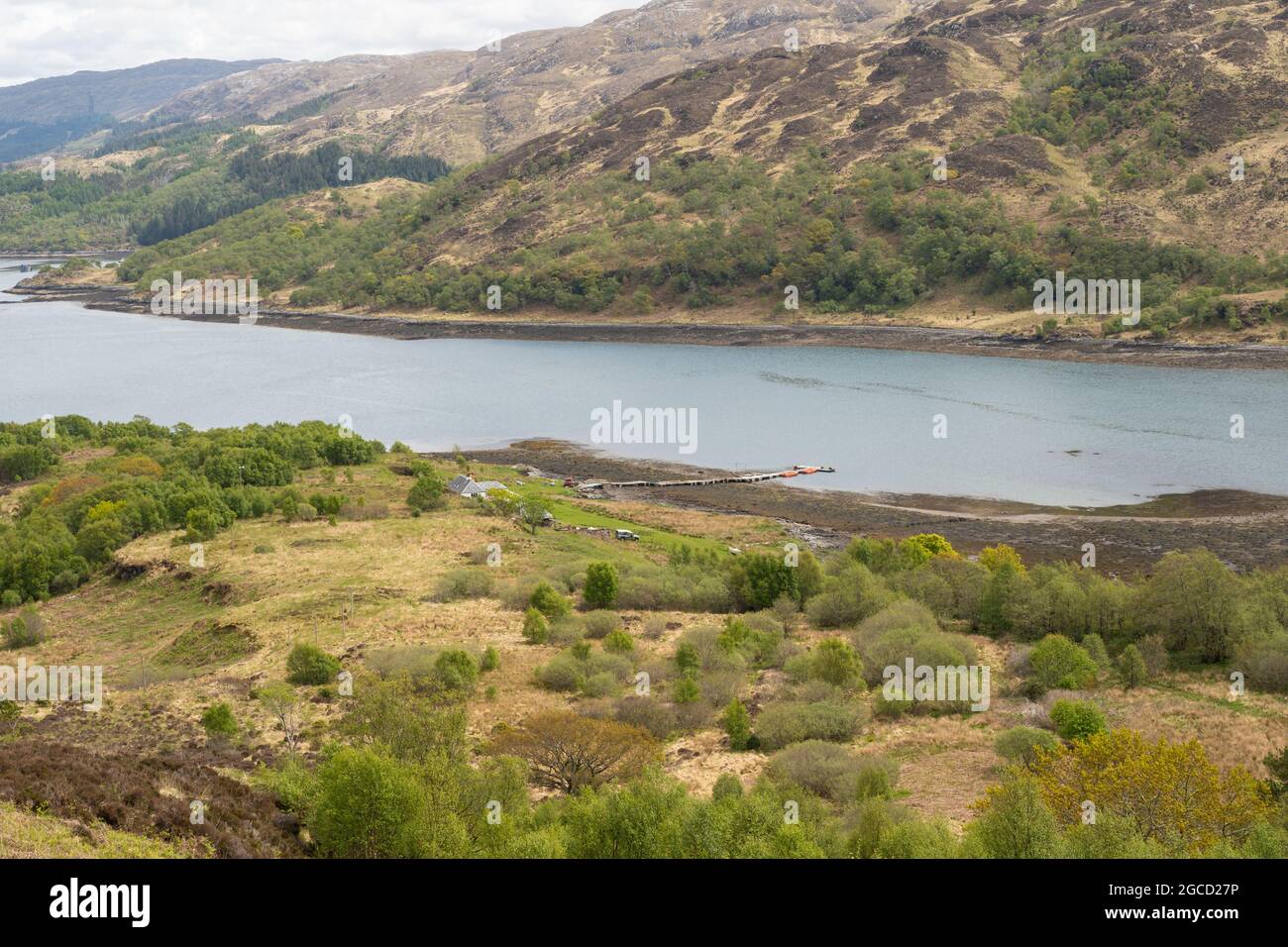 Abgelegenes schottisches Highland-Loch, umgeben von heidekrauten Hügeln und einheimischen Wäldern Stockfoto