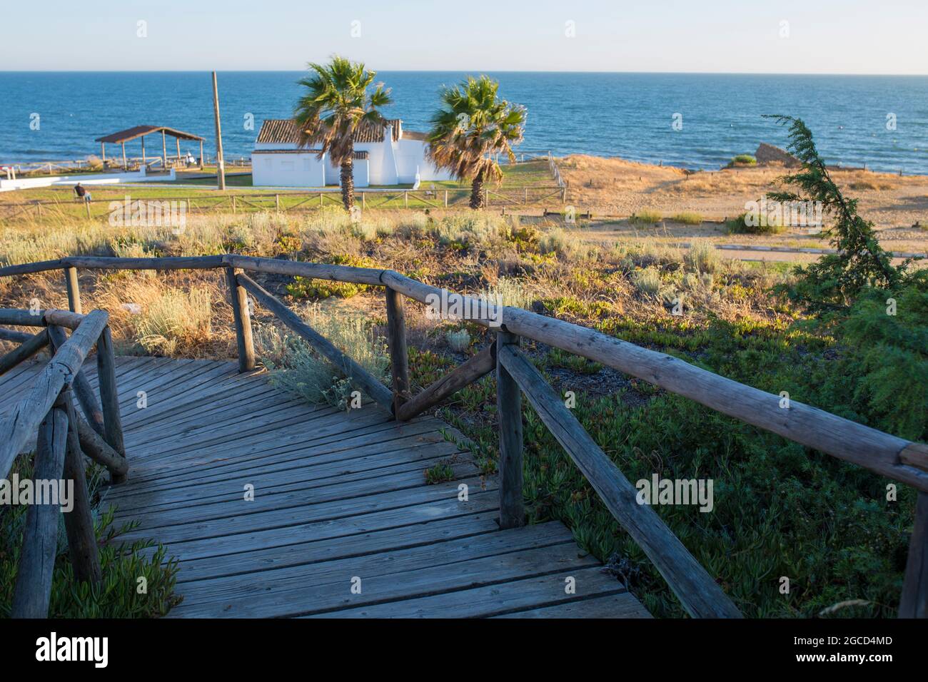 Dunes Park von Matalascanas. Küste der Costa de la Luz, Huelva, Spanien Stockfoto
