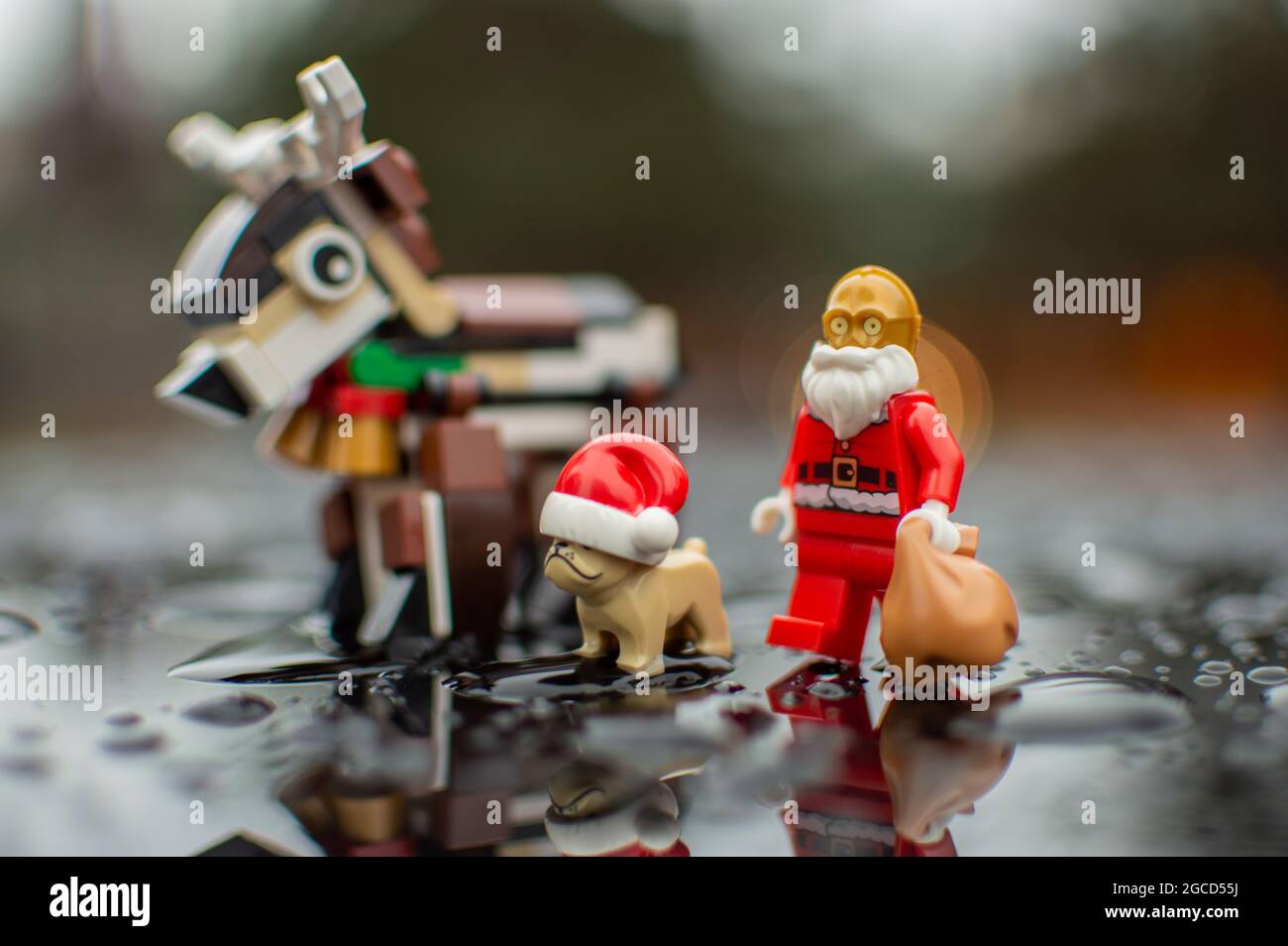 LEGO STAR Wars Minifigur c3po und Rainhirsch Stockfoto