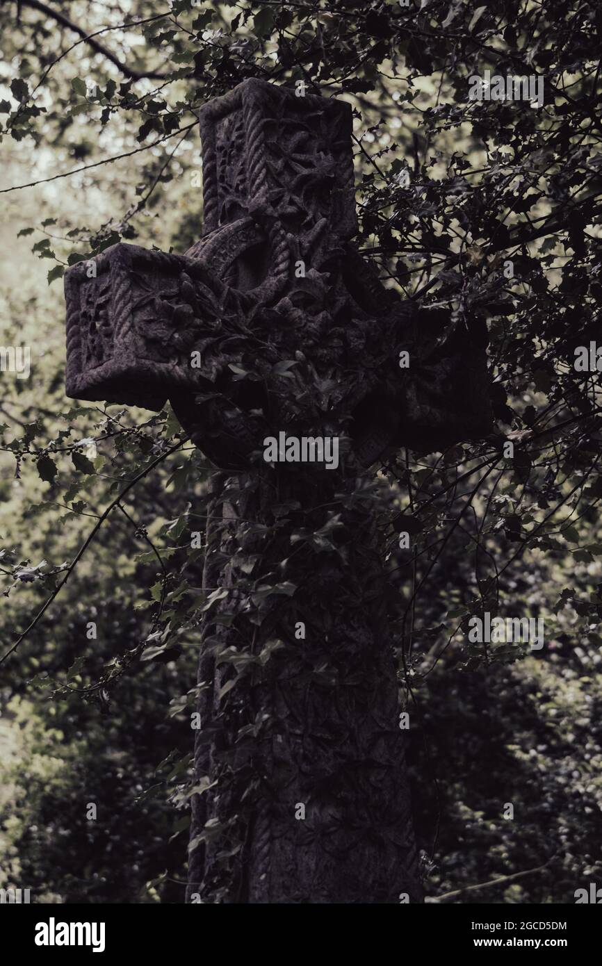 Altes Steinkreuz zwischen bewachsener Vegetation auf dem historischen Friedhof Stockfoto