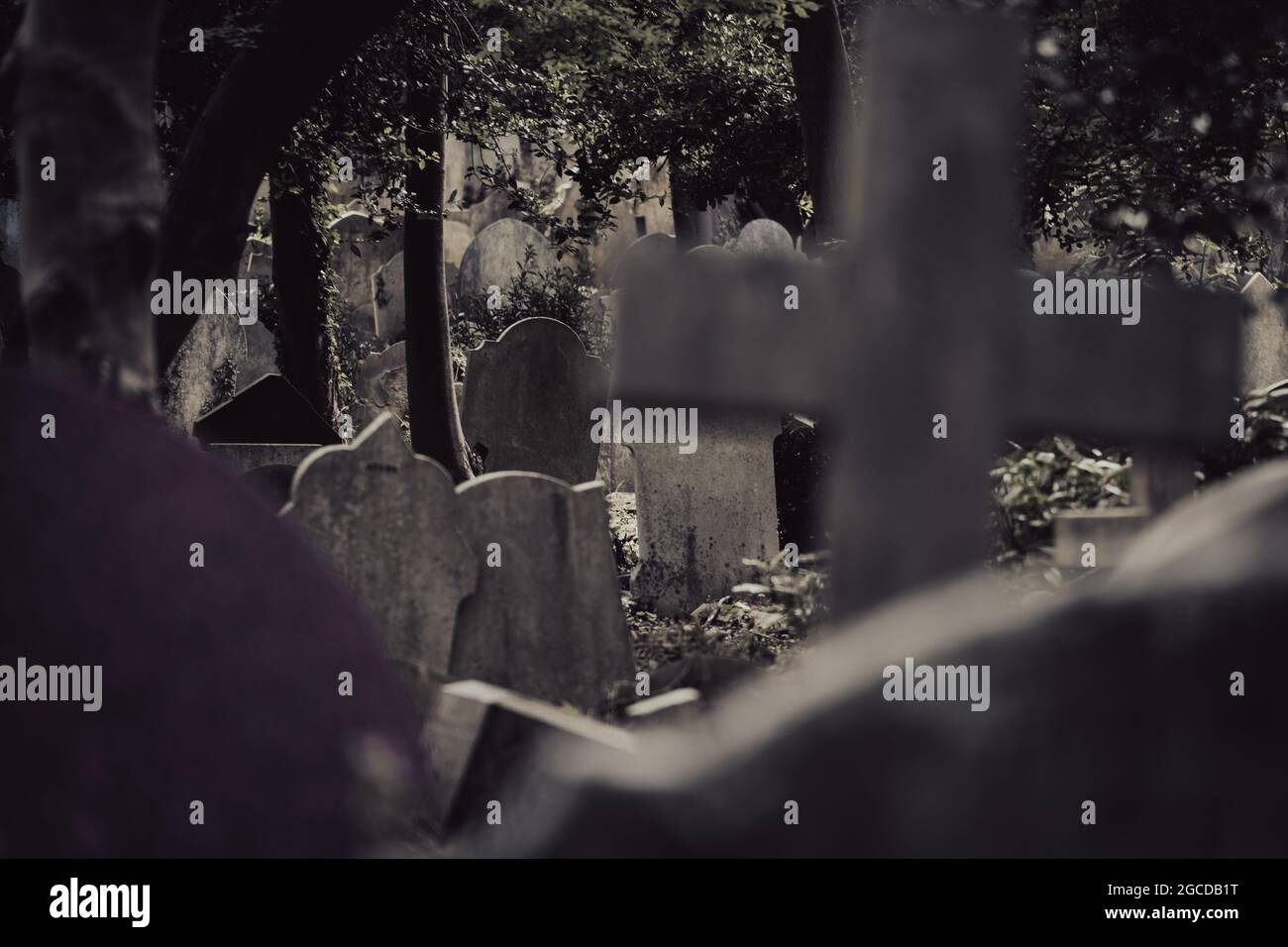 Historische verwitterte Grabsteine auf einem bewachsenen Friedhof mit verflecktem Sonnenlicht, das durch Bäume filtert Stockfoto