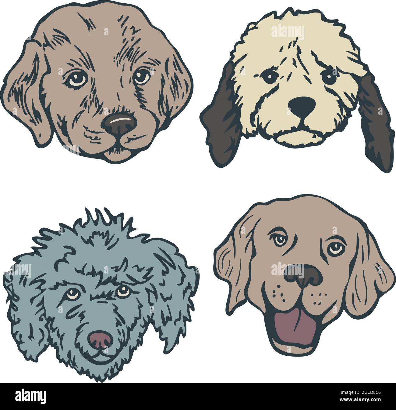 Vektorgrafik Set mit Hundegesichtern. Dekorative Kollektion mit verschiedenen Hunderassen.Vektor-Illustration Set mit Hundegesichtern. Dekoratives Sammeln Stock Vektor