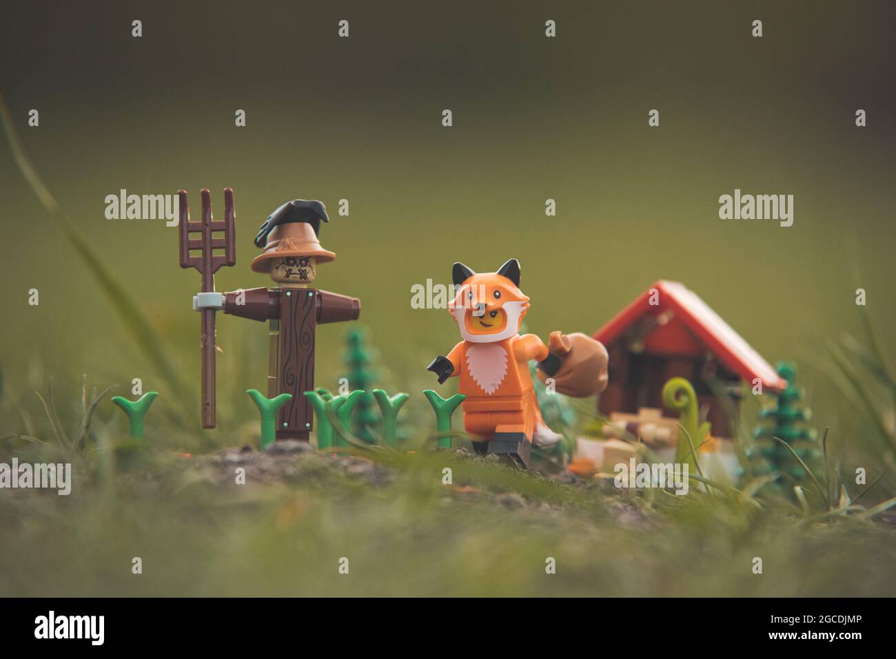 LEGO Minifigur Fuchs raubt den Hühnerstall Stockfoto