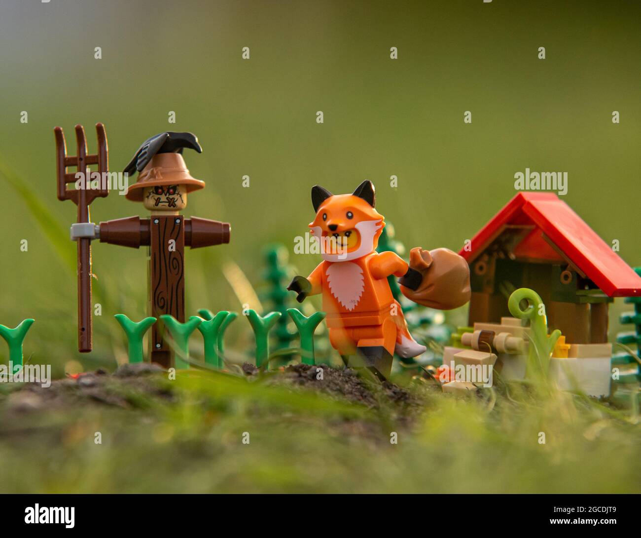 LEGO Minifigur Fuchs raubt den Hühnerstall Stockfoto