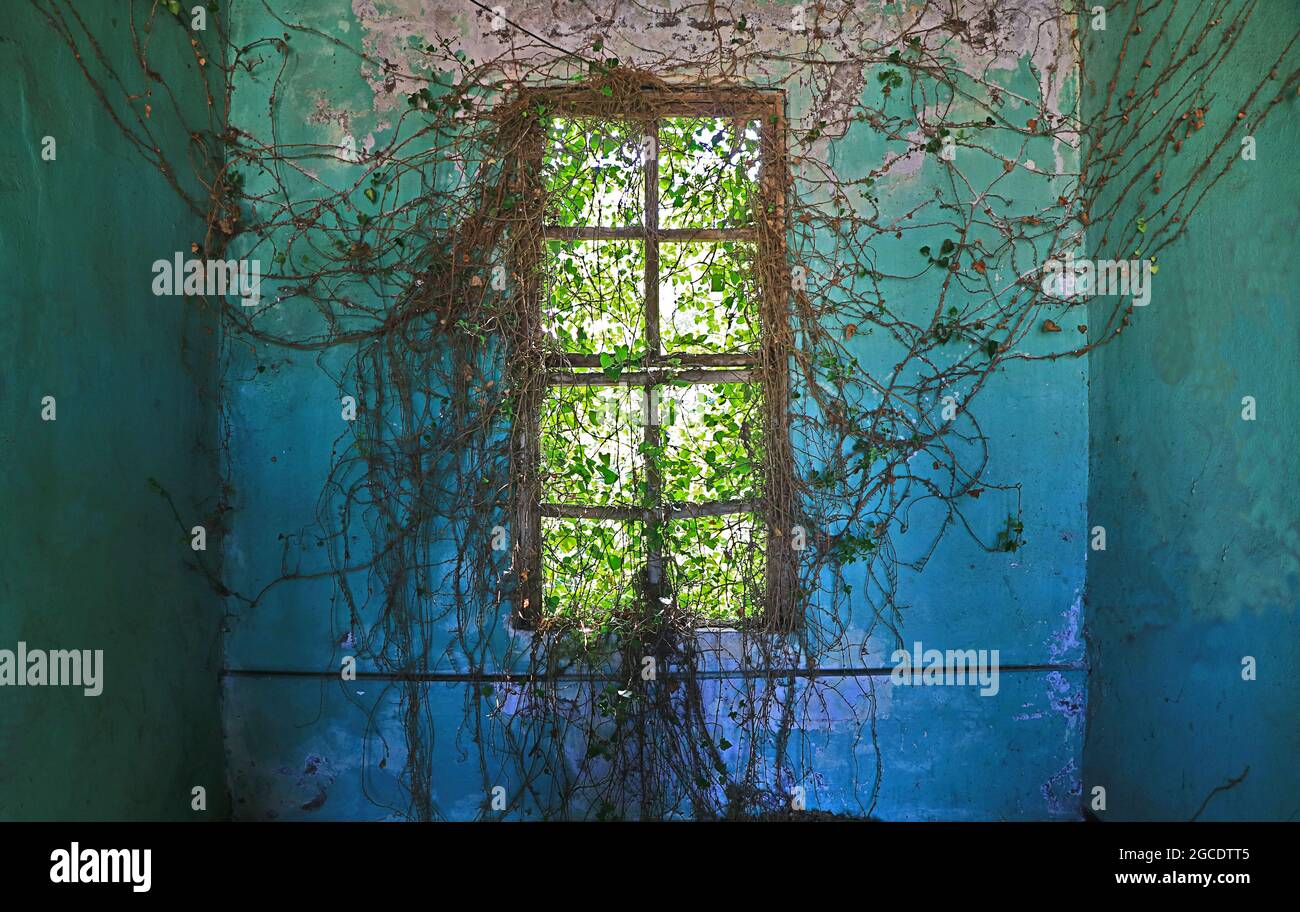 Vereidetes Fenster des verondeten Herrenhauses Stockfoto