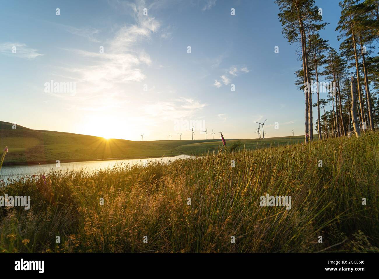 Schöne Landschaft mit Windpark in der Ferne bei Sonnenuntergang. Windkraft, grünes Energiekonzept. Oberes Lliw-Reservoir von Brynllefrith Plantation, Wales, Großbritannien. See, Feld und Bäume. Stockfoto