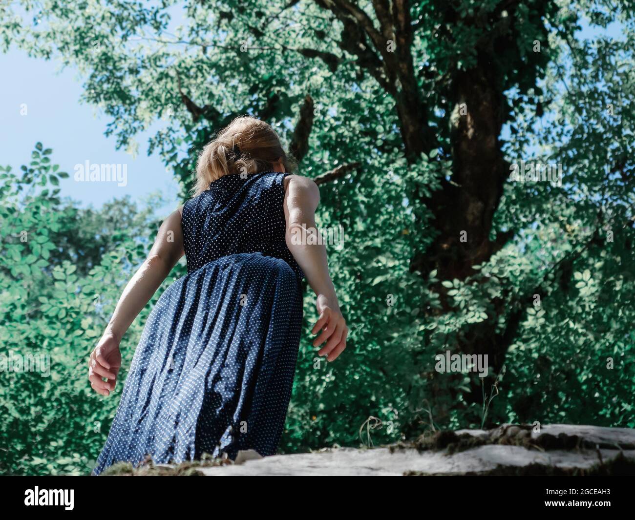 Ein Mädchen in blauem Kleid mit Tupfen steht unter Laubbäumen und einem blauen Himmel. Ansicht von unten Stockfoto