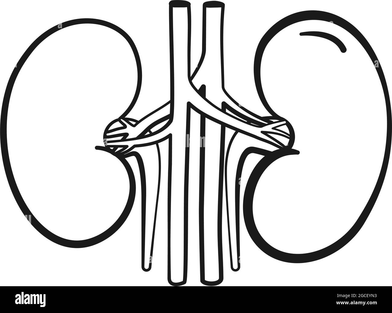 Anatomische menschliche Nierenorgane in Vektor-Symbol Stock Vektor