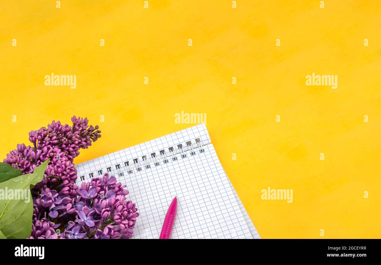 Notebook-Flieder auf gelbem Hintergrund. Spiralnotizbuch und Stift. Notizblock mit Stift und Blumen. Stockfoto