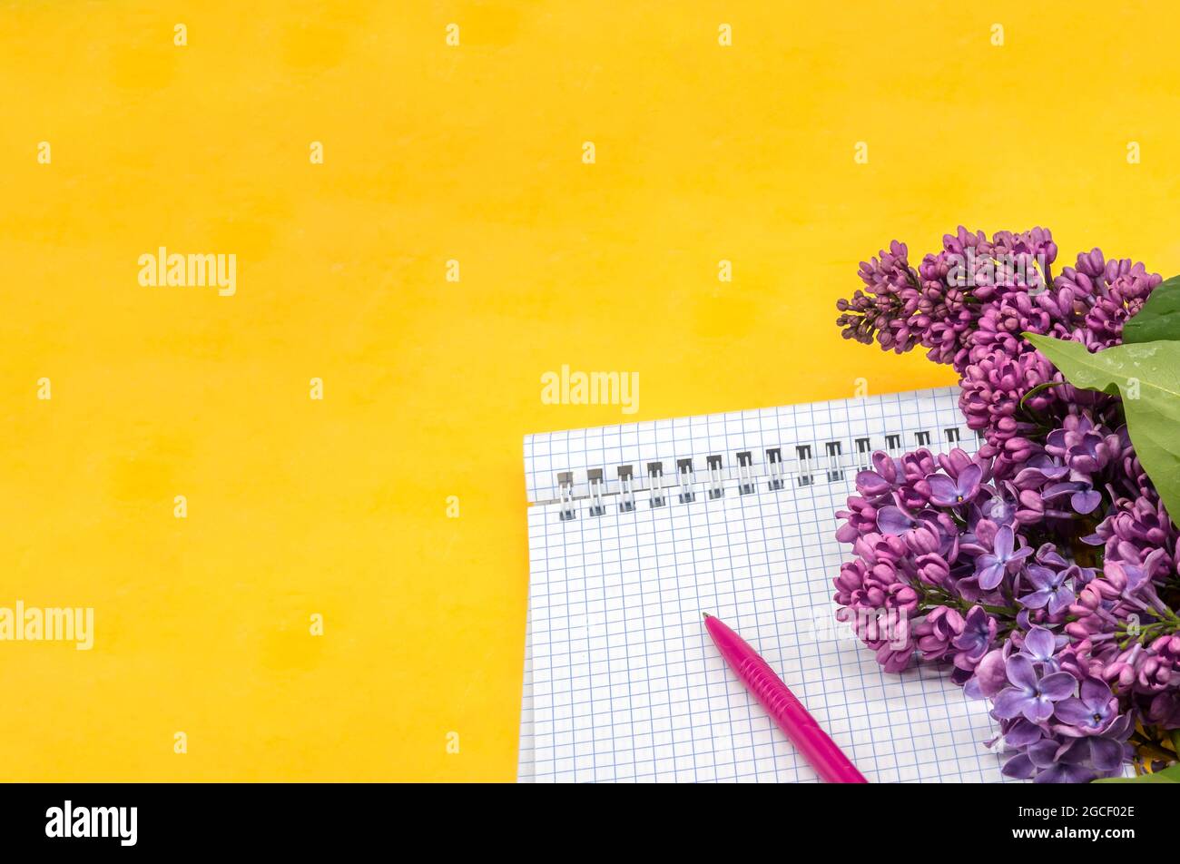 Notebook-Flieder auf gelbem Hintergrund. Spiralnotizbuch und Stift. Notizblock mit Stift und Blumen. Stockfoto