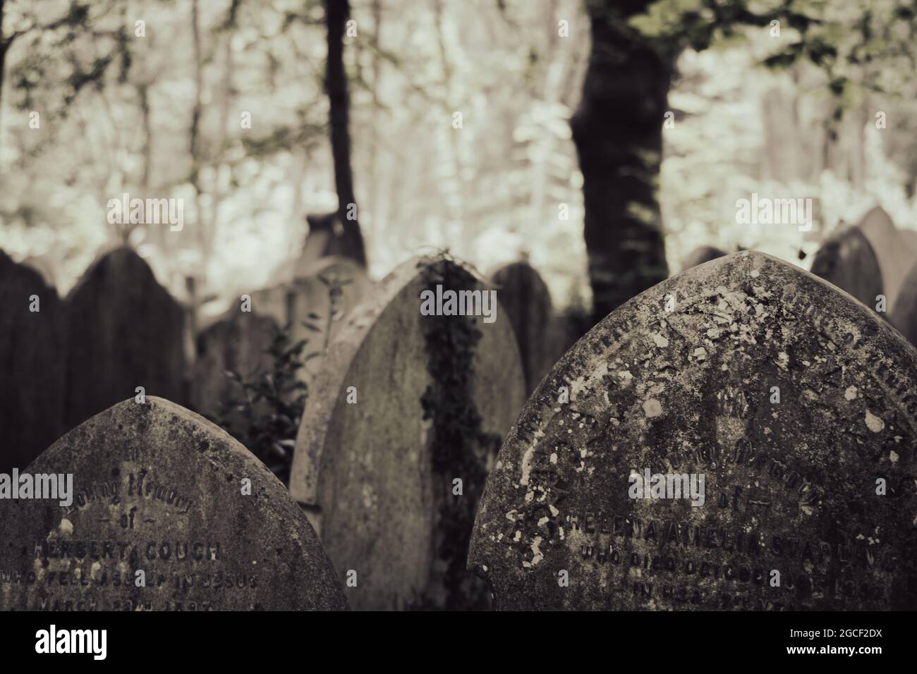 Verwitterte Grabsteine auf dem historischen Highgate Cemetery mit flechtenbedeckten Grabsteinen Stockfoto
