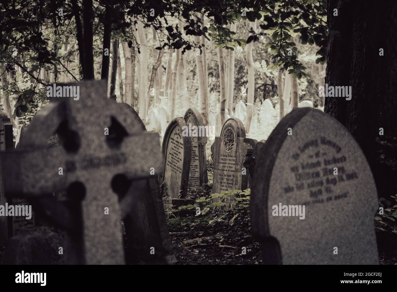 Historische Grabsteine auf einem schattigen Friedhof mit alten Bäumen Stockfoto