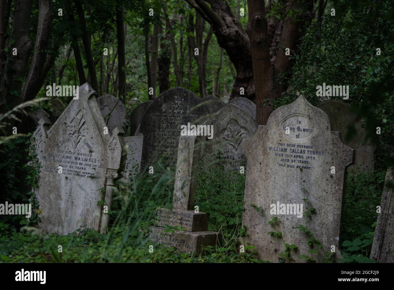 Historische verwitterte Grabsteine auf dem bewachsenen Waldfriedhof Stockfoto